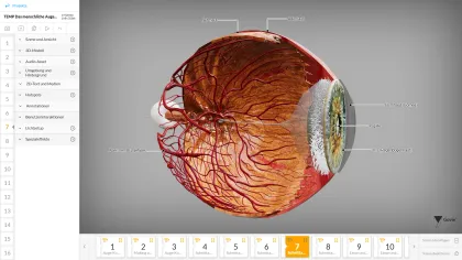 Interaktive digitale Bildungsinhalte